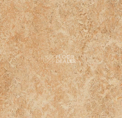 Линолеум Forbo Marmoleum Marbled Authentic 3075 shell фото 1 | FLOORDEALER